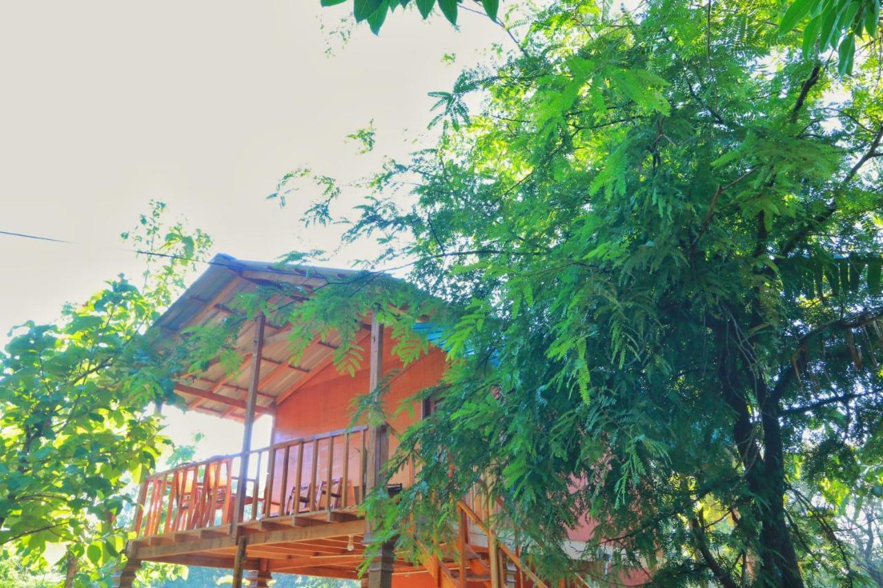 Sigiriya Free View Tree House & Villa Exterior photo
