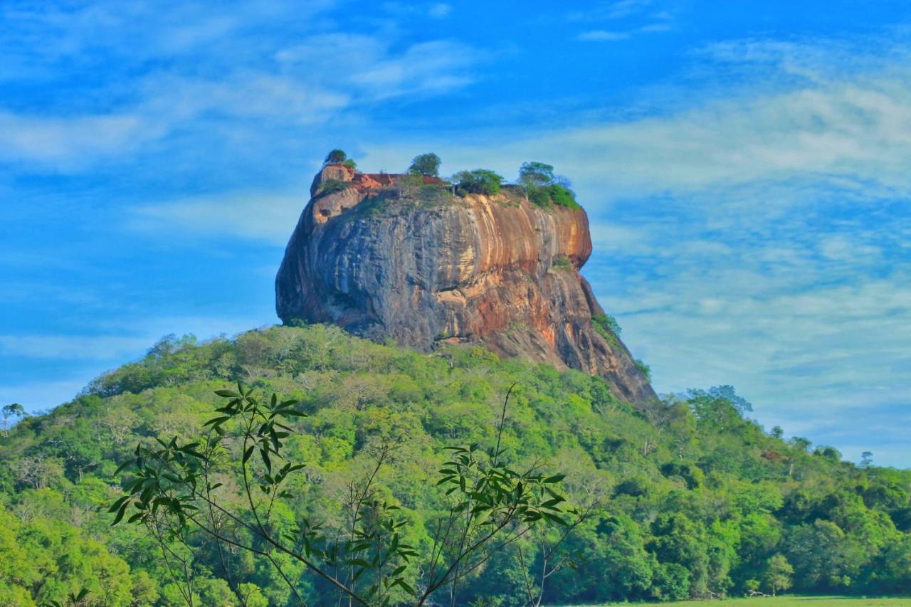 Sigiriya Free View Tree House & Villa Exterior photo